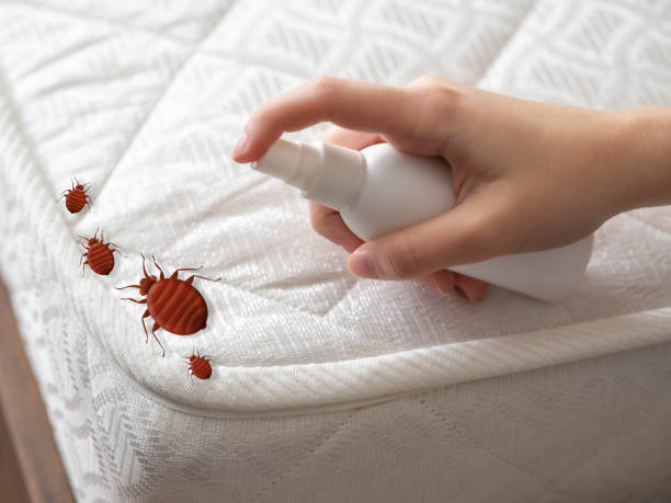 Best Affordable Pest Control Services  in Riesel, TX